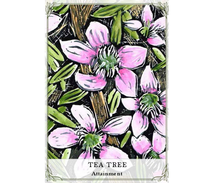 Карти для читання про дикі квіти Австралії - Australian Wildflower Reading Cards. Rockpool Publishing