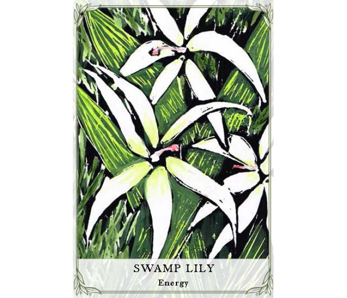 Карти для читання про дикі квіти Австралії - Australian Wildflower Reading Cards. Rockpool Publishing
