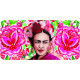 Карты Вдохновение Фриды - Inspired by Frida Reading Cards. Rockpool Publishing