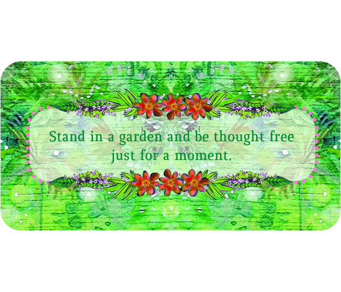 Картки з афірмаціями Відпусти - Let Go Oracle Cards. Rockpool Publishing