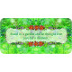 Картки з афірмаціями Відпусти - Let Go Oracle Cards. Rockpool Publishing
