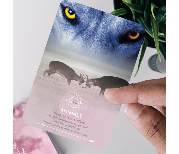 Карты для чтения снов: Пробудите свое интуитивное подсознание - Dream Reading Cards: Awaken your intuitive subconscious. Rockpool Publishing