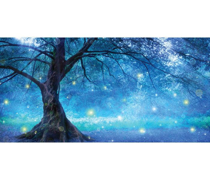 Оракул Wishcraft: Чари починаються тут - Wishcraft: The Magic Starts Here. Rockpool Publishing