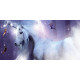 Оракул Wishcraft: Чари починаються тут - Wishcraft: The Magic Starts Here. Rockpool Publishing