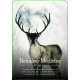 Йольский Оракул. Времена года ведьмы - Seasons of the Witch: Yule Oracle. Rockpool Publishing