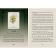 Оракул Кельтських Духів - Celtic Spirit Oracle. Rockpool Publishing