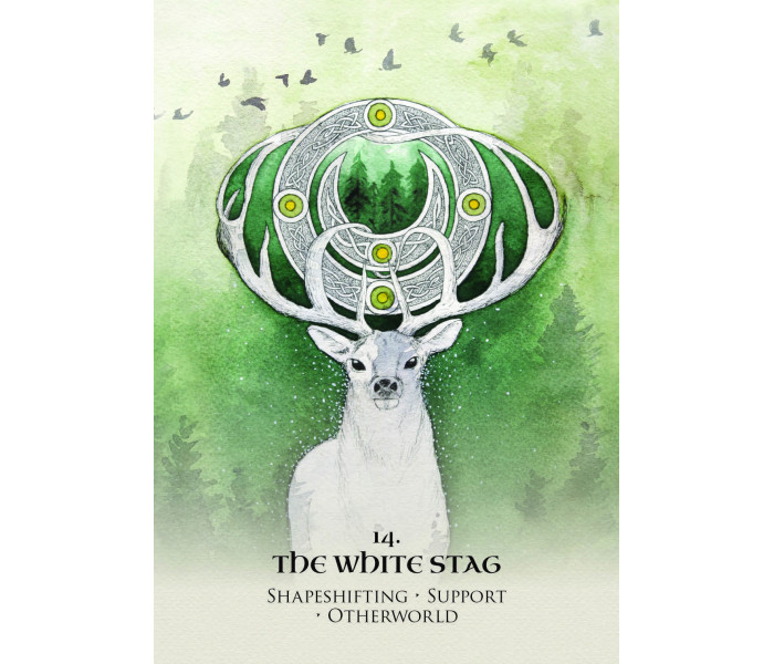 Оракул Кельтських Духів - Celtic Spirit Oracle. Rockpool Publishing