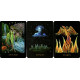Сутінкове Царство:Таро фейрі - The Twilight Realm: A Tarot of Faery. Schiffer Publishing