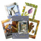 Оракул Мудрості Природи - Nature’s Wisdom Oracle. Schiffer Publishing