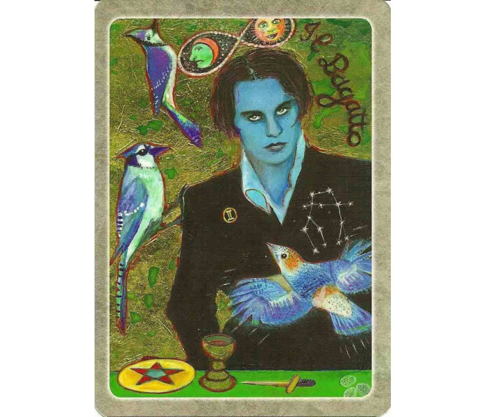 Таро Тайный Язык Птиц - The Secret Language of Birds Tarot. Schiffer Publishing