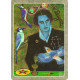 Таро Тайный Язык Птиц - The Secret Language of Birds Tarot. Schiffer Publishing