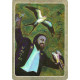Таро Тайный Язык Птиц - The Secret Language of Birds Tarot. Schiffer Publishing