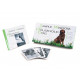 Оракул Проста Мудрість Домашньої Собаки - Simple Wisdom of the Household Dog: An Oracle. Schiffer Publishing
