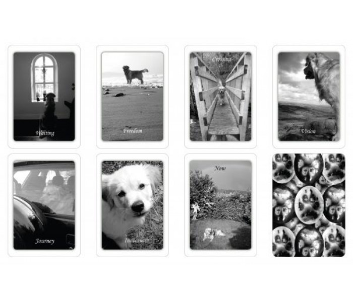 Оракул Проста Мудрість Домашньої Собаки - Simple Wisdom of the Household Dog: An Oracle. Schiffer Publishing