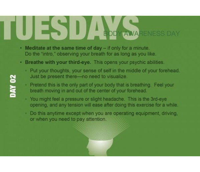 Развивайте свои экстрасенсорные способности: 9-дневный план - Build Your Psychic Skills : The 9-Day Plan. Schiffer Publishing