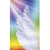 Фото 3 - Зцілювальне світло і карти ангелів: робота з вашими чакрами - Healing Light and Angel Cards: Working with Your Chakras. Schiffer Publishing