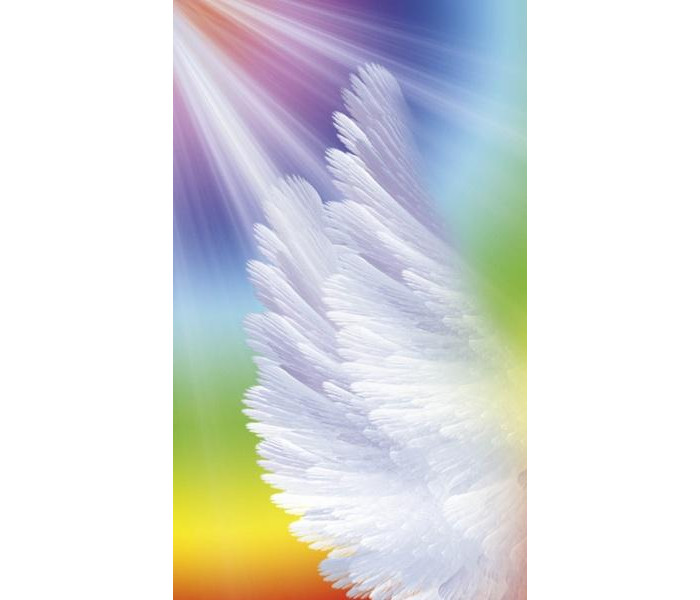 Зцілювальне світло і карти ангелів: робота з вашими чакрами - Healing Light and Angel Cards: Working with Your Chakras. Schiffer Publishing
