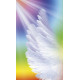 Зцілювальне світло і карти ангелів: робота з вашими чакрами - Healing Light and Angel Cards: Working with Your Chakras. Schiffer Publishing