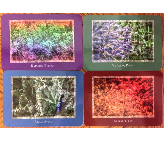 Оракул Бачення Гайї - Gaia’s Vision Oracle Cards. Schiffer Publishing
