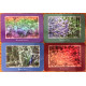 Оракул Бачення Гайї - Gaia’s Vision Oracle Cards. Schiffer Publishing