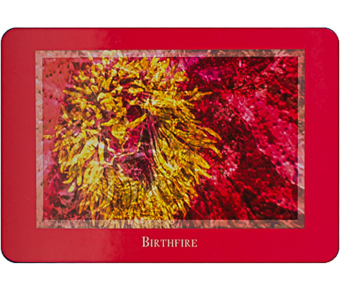 Оракул Бачення Гайї - Gaia’s Vision Oracle Cards. Schiffer Publishing