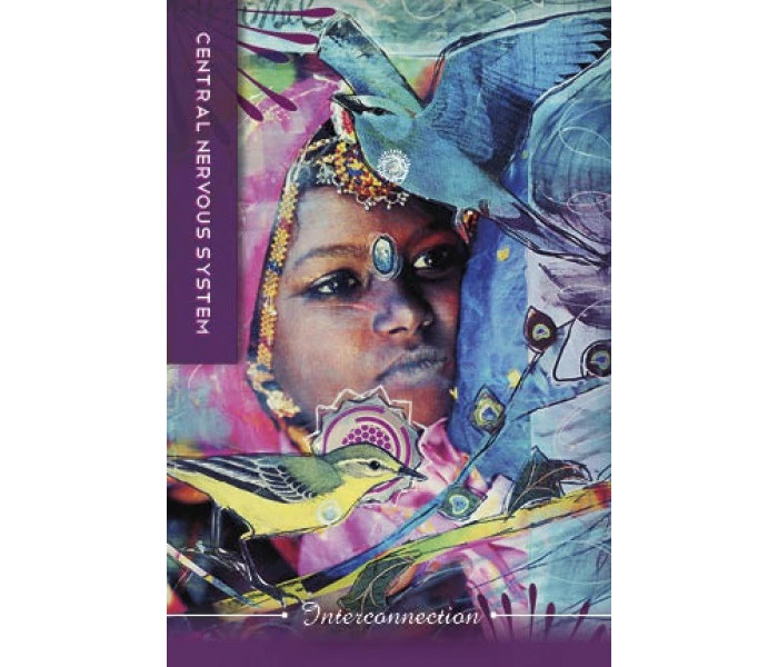 Карти тіла: розуміння тіла, мудрість для душі - Body Cards: Insight from the Body, Wisdom for the Soul. Schiffer Publishing