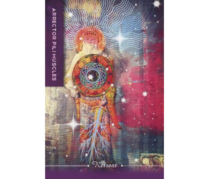 Карти тіла: розуміння тіла, мудрість для душі - Body Cards: Insight from the Body, Wisdom for the Soul. Schiffer Publishing