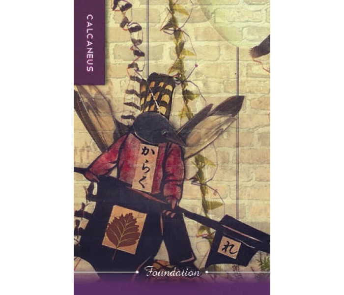Карти тіла: розуміння тіла, мудрість для душі - Body Cards: Insight from the Body, Wisdom for the Soul. Schiffer Publishing