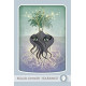 Колода Травяных Исцелений - The Herbal Healing Deck. Schiffer Publishing