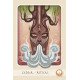 Колода Травяных Исцелений - The Herbal Healing Deck. Schiffer Publishing