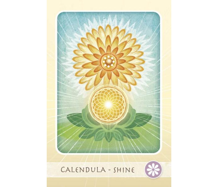 Колода Травяных Исцелений - The Herbal Healing Deck. Schiffer Publishing
