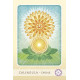 Колода Травяных Исцелений - The Herbal Healing Deck. Schiffer Publishing