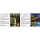 Оракул Магические Измерения - Magical Dimensions Oracle Cards and Activators. Schiffer Publishing