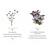 Фото 4 - Слухаючи квіти : Позитивні афірмації для пробудження цілющої енергії 38 квітів Баха - Listening to Flowers: Positive Affirmations to Invoke the Healing Energy of the 38 Bach Flowers. Schiffer Publishing