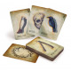 Оракул Між Світами - Between the Worlds: Shadowcasting with Bone and Curio Oracle Cards. Schiffer Publishing