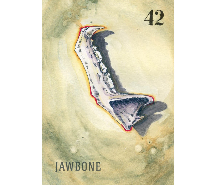 Оракул Між Світами - Between the Worlds: Shadowcasting with Bone and Curio Oracle Cards. Schiffer Publishing