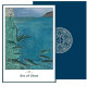 Оракул Кельтская Книга Мертвых - Celtic Book of the Dead : An Oracle to Steer Your Life Journey. Schiffer Publishing