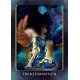 Оракул Высшего Я - Higher Self Oracle Cards. Schiffer Publishing