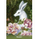 Оракул Послання Ангелів Землі - Earth Angels Message Cards. Animal Dreaming