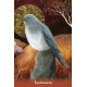 Оракул Послання Ангелів Землі - Earth Angels Message Cards. Animal Dreaming