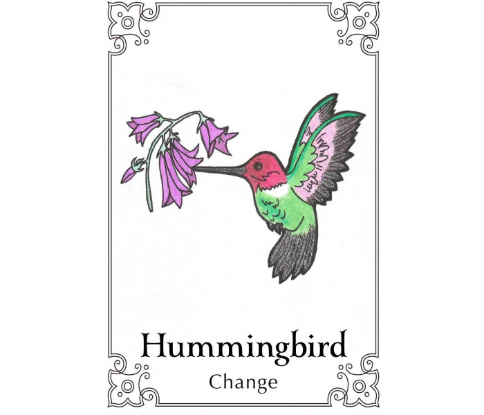Оракул Священная Птица - Sacred Bird Oracle Cards. Animal Dreaming