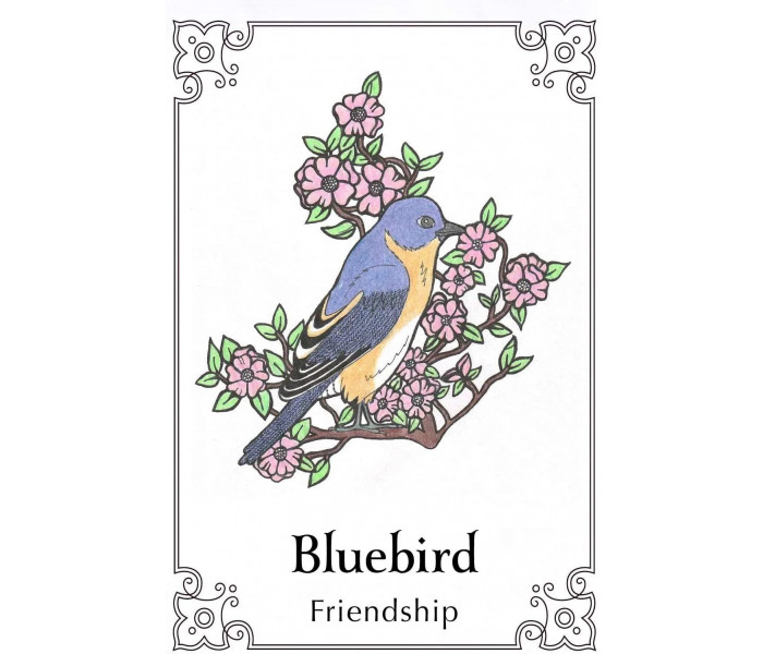 Оракул Священная Птица - Sacred Bird Oracle Cards. Animal Dreaming