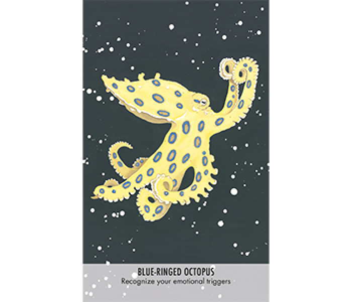 Оракул Незвичайні Послання Тварин - Unusual Animal Messages Oracle Cards. Cico Books