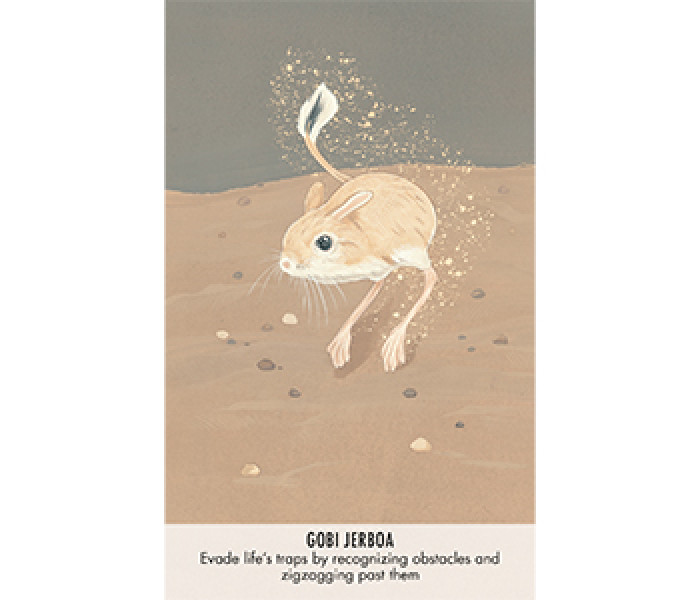 Оракул Незвичайні Послання Тварин - Unusual Animal Messages Oracle Cards. Cico Books