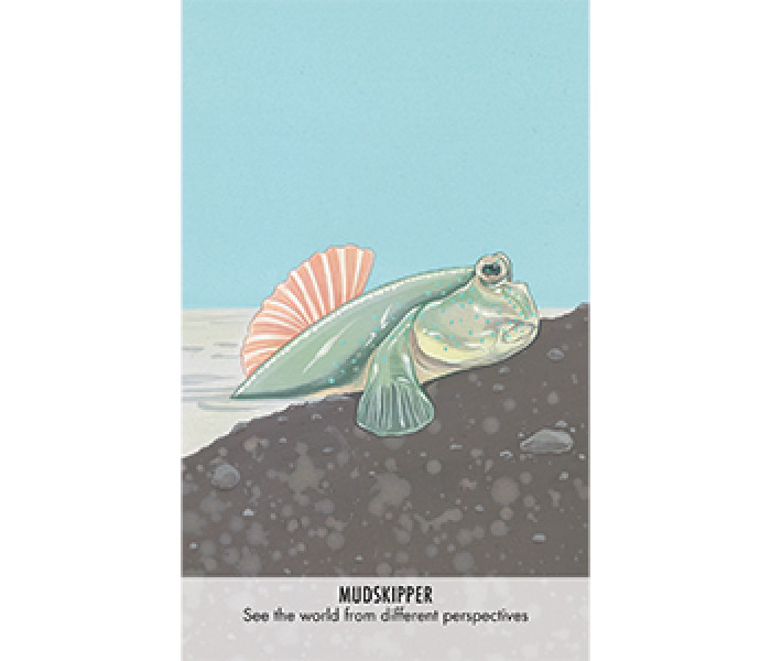 Оракул Незвичайні Послання Тварин - Unusual Animal Messages Oracle Cards. Cico Books