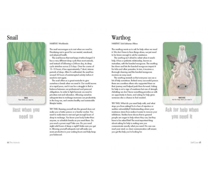 Оракул Незвичайні Послання Тварин - Unusual Animal Messages Oracle Cards. Cico Books