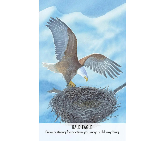 Оракул Птичьи Послания - Bird Messages. Cico Books