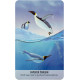 Оракул Птичьи Послания - Bird Messages. Cico Books