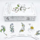 Ботанический Оракул - Hedgewitch Botanical Oracle. Llewellyn