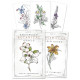 Ботанический Оракул - Hedgewitch Botanical Oracle. Llewellyn